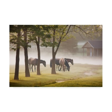 Monte Nagler 'Horses In The Mist Kentucky Color' Canvas Art,30x47